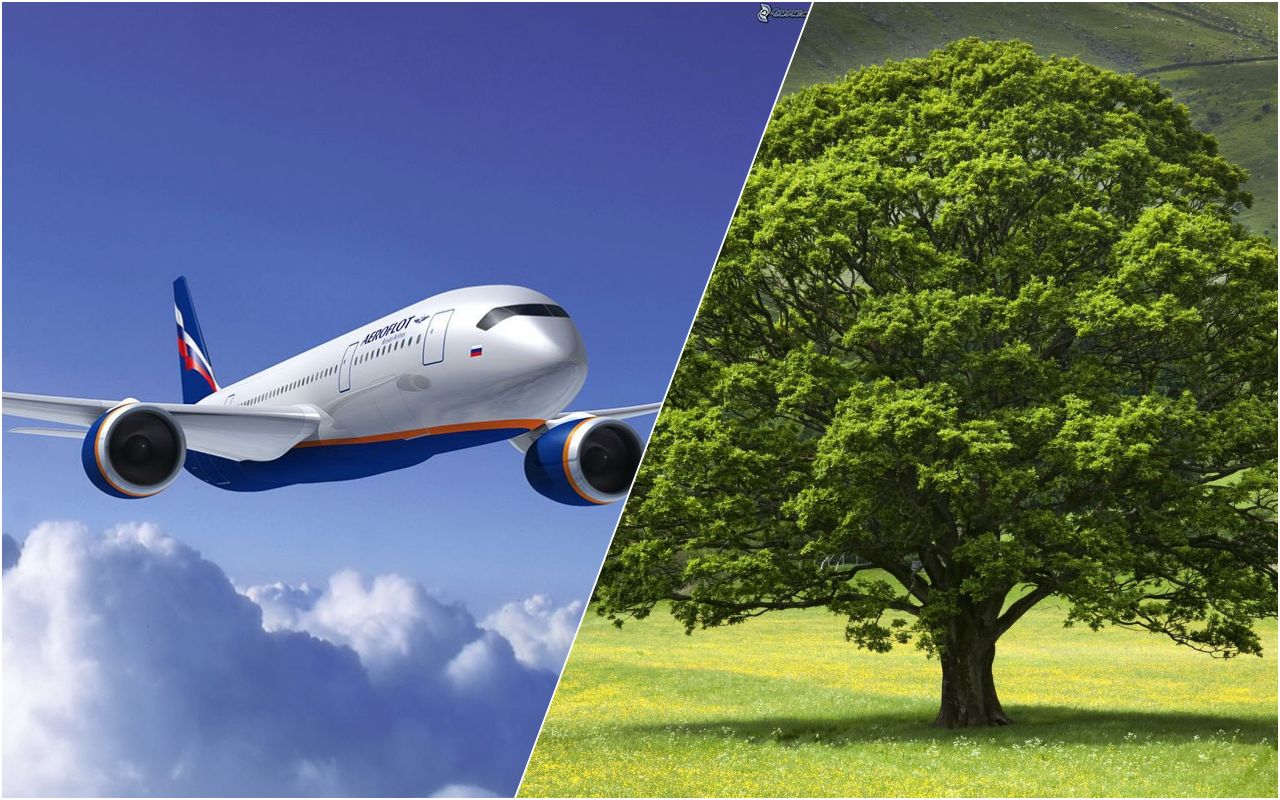 «Аэрофлот» выступил с любопытной инициативой по защите природы с участием пассажиров