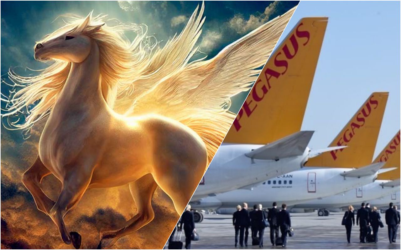 Есть хорошие новости для путешественников: авиакомпания Pegasus недавно существенно снизила стоимость билетов на самолеты.